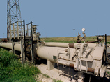  Elefant   800     ,    