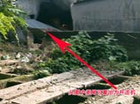  ,    Sina.com, ,        ,        