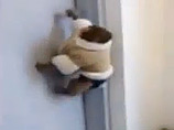        ,         "" 