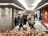 TEFAF        ,       -       