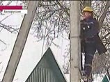 -   1,7      .         -        