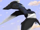     ,      ,        Vectidraco daisymorrisae
