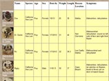 ,    ,        - Pacific Marine Mammal Center -          