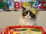-   ,           - Grumpy Cat,  " "