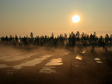    ,          ""   Europolgaz      -    