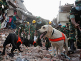    24    Rana Plaza    