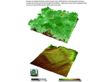     ,      ,    .        (LIDAR,  Light Detection and Ranging - "    ")