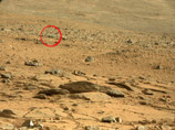 ,   ,   Curiosity,      " "   .