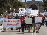Monsanto          