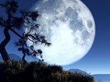            " " -   ,           ,    