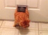     : 12-       