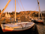  2011      ,       ,          