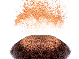 "", ""  " " -        Universal Color and Chemicals  14-  