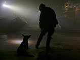      , -   -  Reuters,  "  ,   "