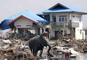       .  Reuters, 