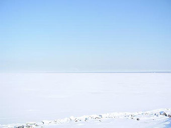    .    niralka.ru