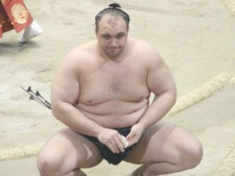  .    japan-sumo.ru