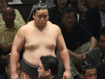     .    japan-sumo.ru