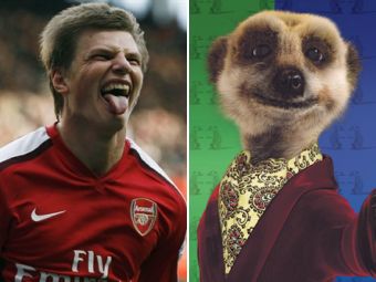  ,  ©AFP       comparethemeerkat.com