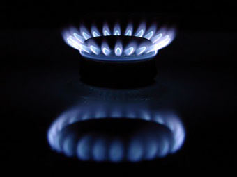   Lynn   Google Picasa