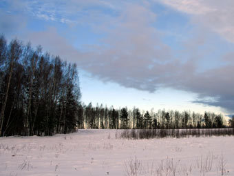  "".    uazpatriot.ru 