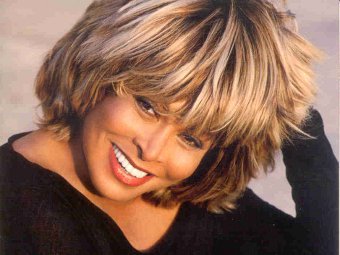  ,    tinaturner.us