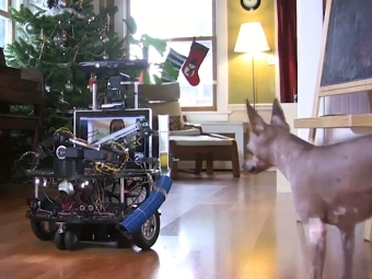 DarwinBot  ,     YouTube