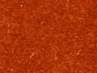  .   Rishabh Jain et al
