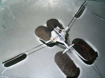 -.  Zhao et al.