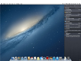    Mountain Lion