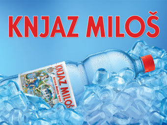    knjazmilosh.com