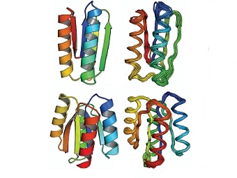  ()   (, )     .    Koga et al., Nature, 2012 