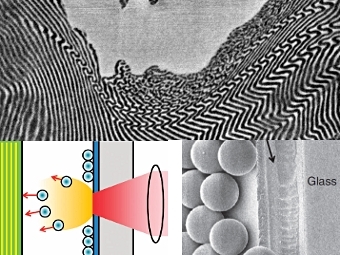    (),    ""()     .    Jae-Hwang Lee et al., Scientific Reports 2012