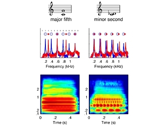      -     .  M. Cousineau et al., PNAS Early Edition (2012)
