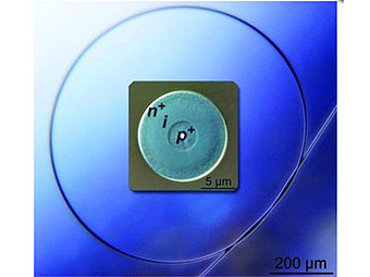    ( )    .   Badding lab, Penn State University