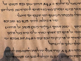       deadseascrolls.org.il