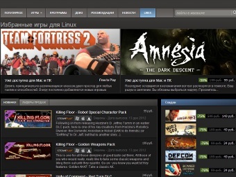  Steam    Linux