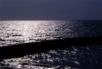    www.palmyria.co.uk